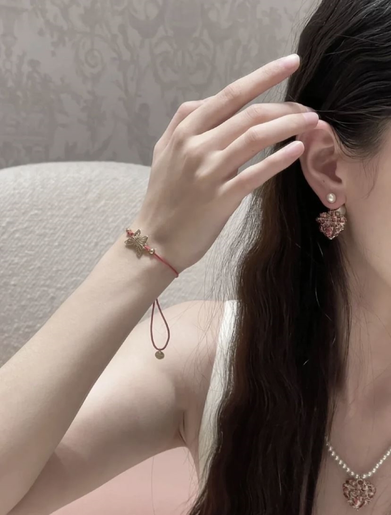 chr1st1an D10r earrings